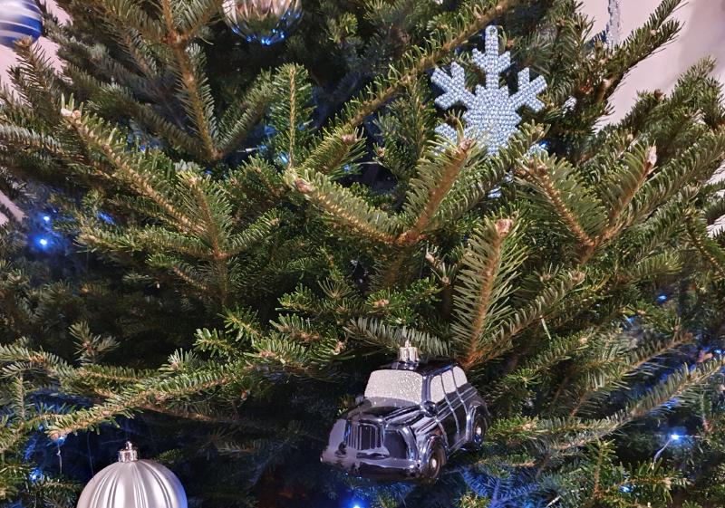 the tree