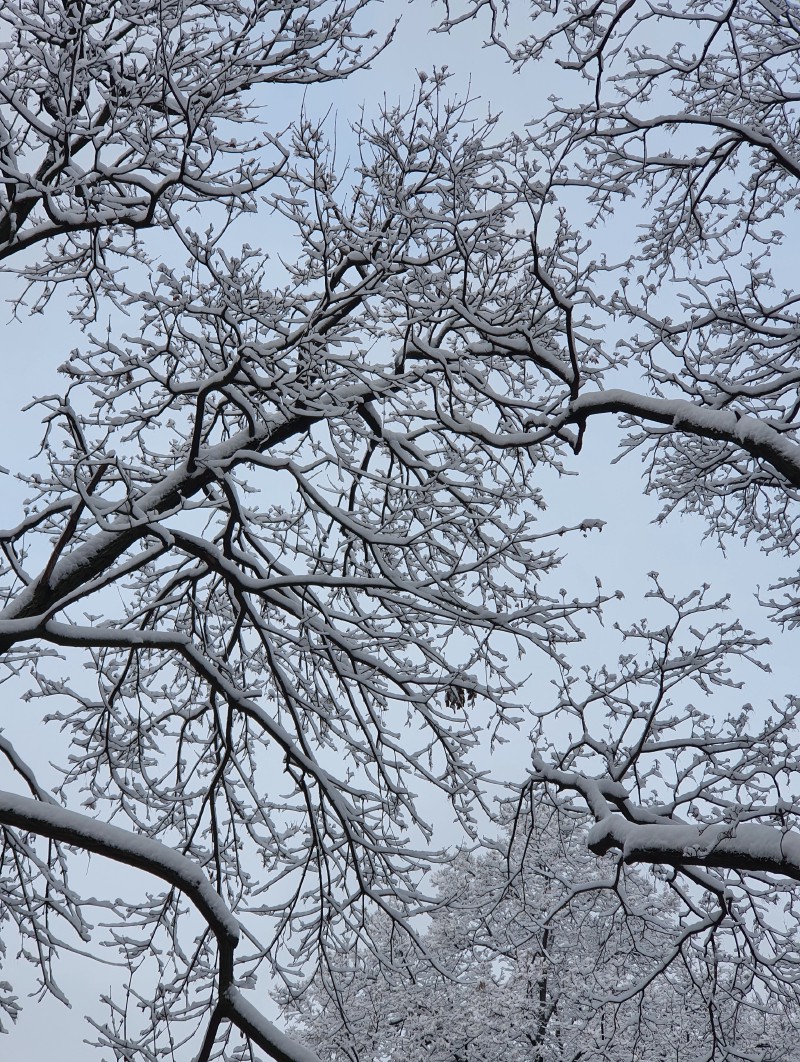 /posts/2021/winter/featured_hu_c606fdde17dc638d.jpg