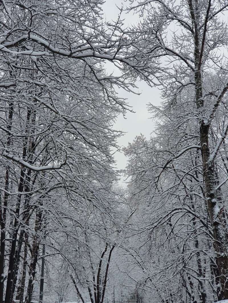 /posts/2021/winter/road_hu_1575e0a7d149db6f.jpg