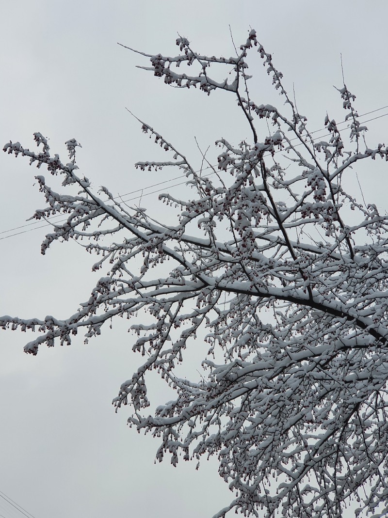 /posts/2021/winter/wires_hu_68abb9f947b5f56f.jpg